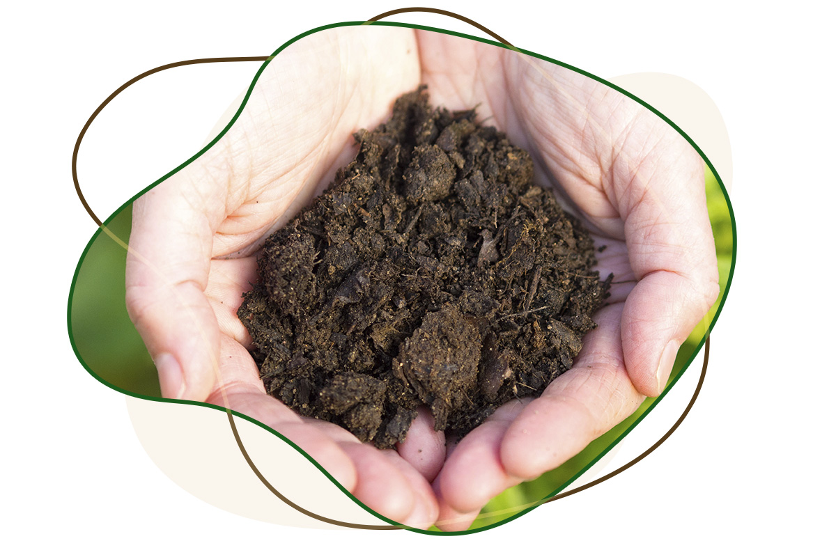 AMATERRE_accueil_main Amaterre • Passeur de nature