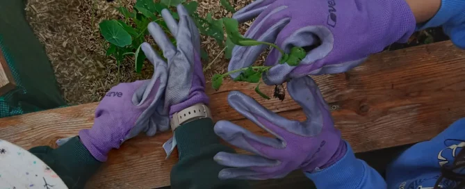 Amaterre • Atelier nature