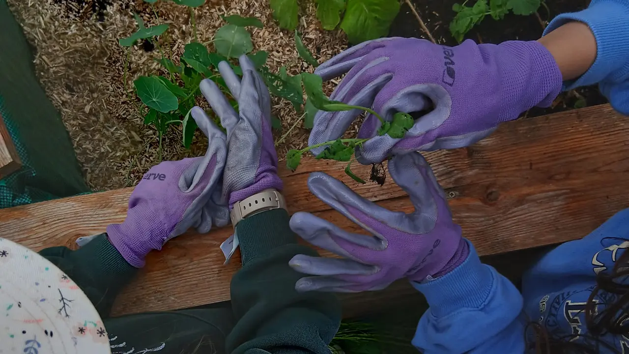 Amaterre • Atelier nature