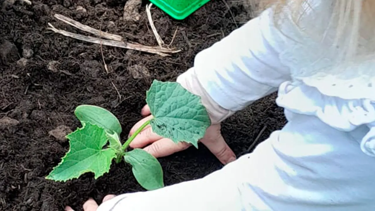 Amaterre • Atelier mains dans la terre