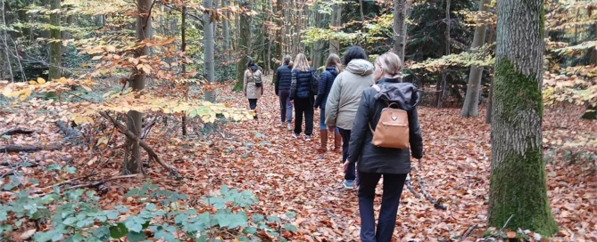Amaterre • Nos actions • Bien être