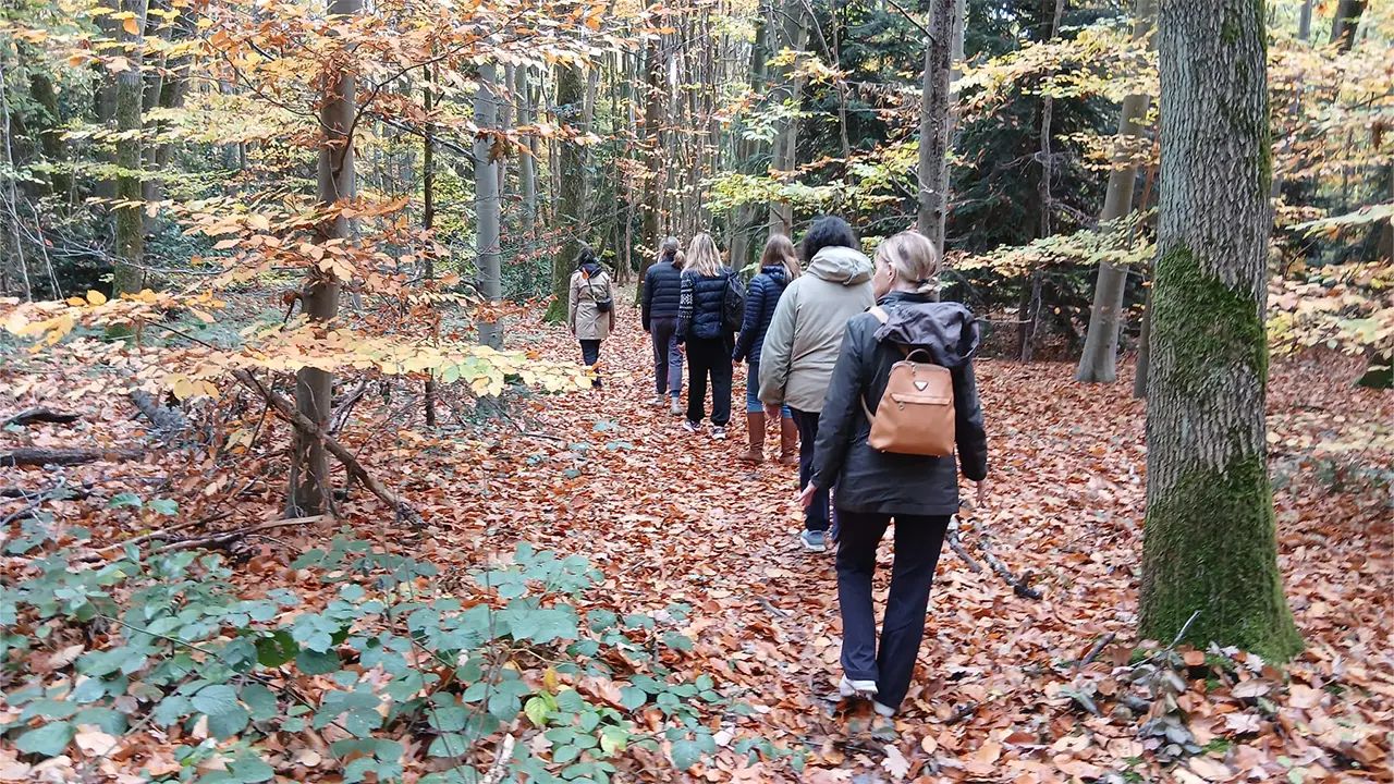Amaterre • Nos actions • Bien être