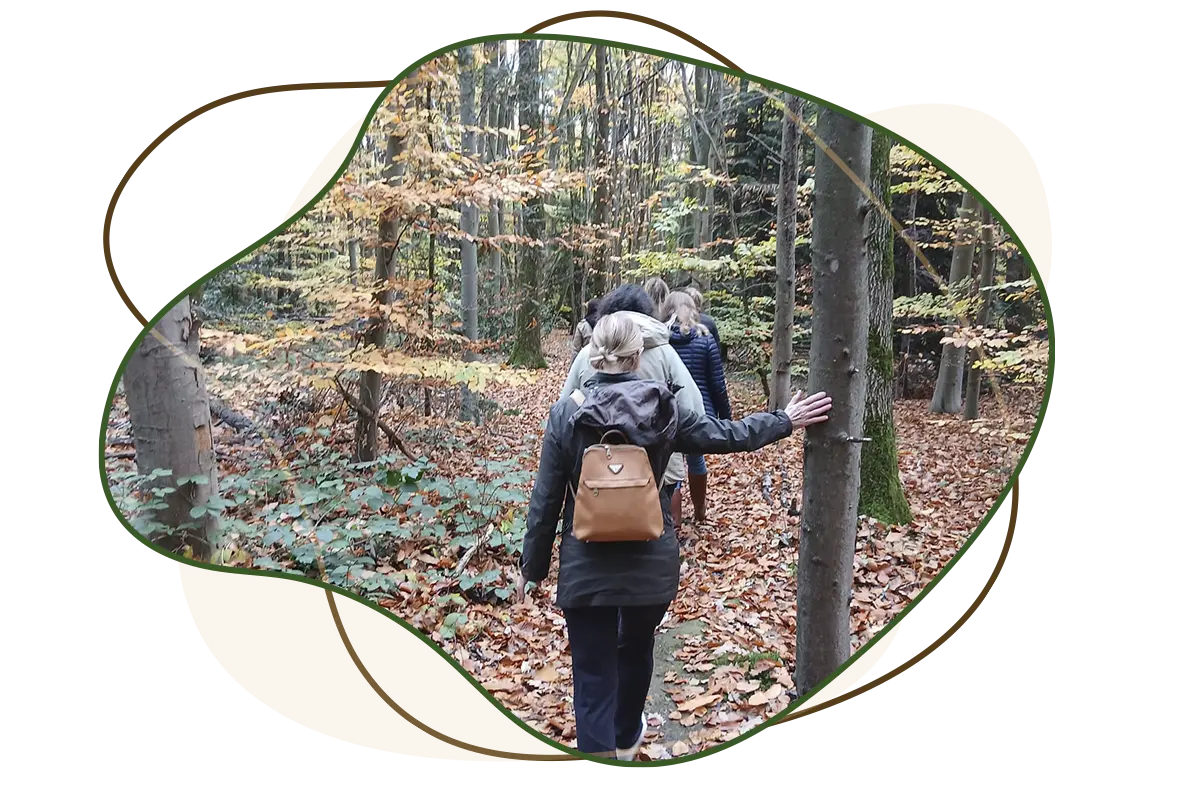 activite-bien-etre Amaterre • Nos actions • Bien être