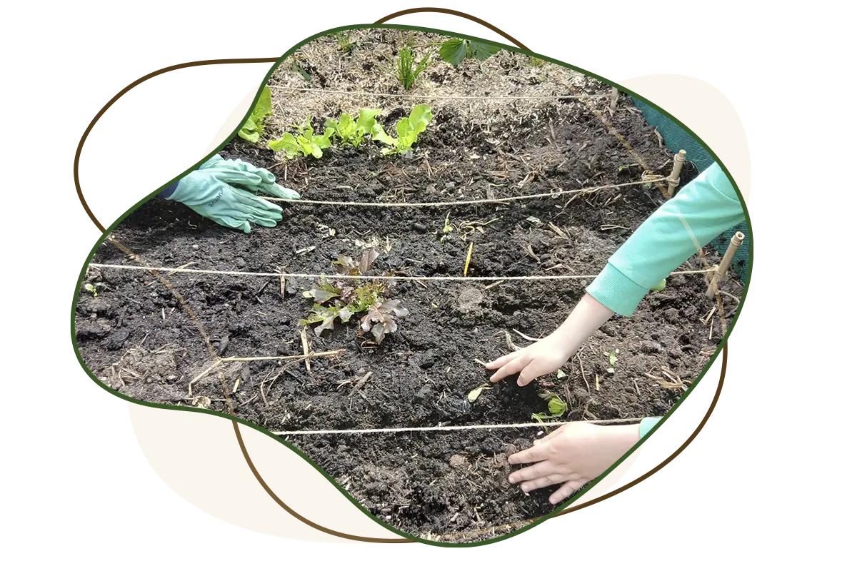 nos-actions Amaterre • Nos actions • Jardins pédagogiques en milieu scolaire