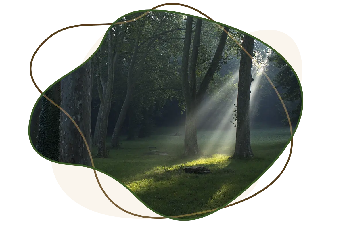 notre-equipe Amaterre • Qui sommes-nous ?