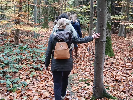 Amaterre • Nos actions • Bien être